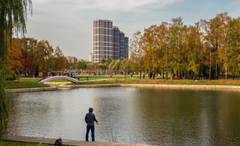 Navigating the New Real Estate Landscape